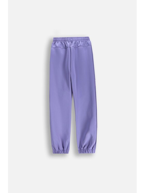 Lemon Explore Lemon Explore Spodnie dresowe WL5120101ACG-016 Fioletowy Regular Fit