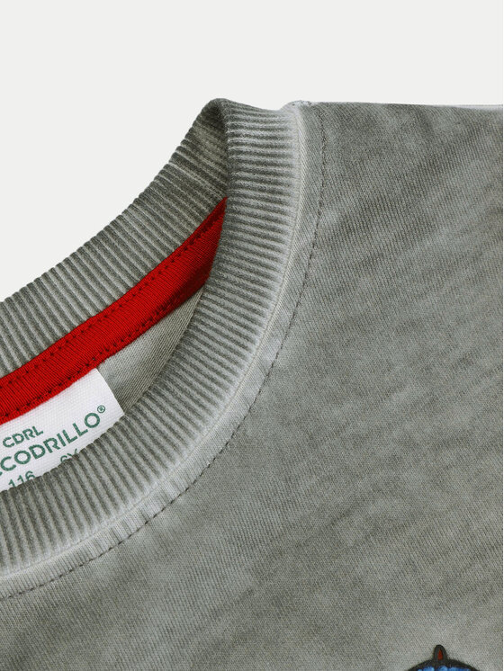 Coccodrillo Coccodrillo Halenka ZC4143102ABK Šedá Regular Fit
