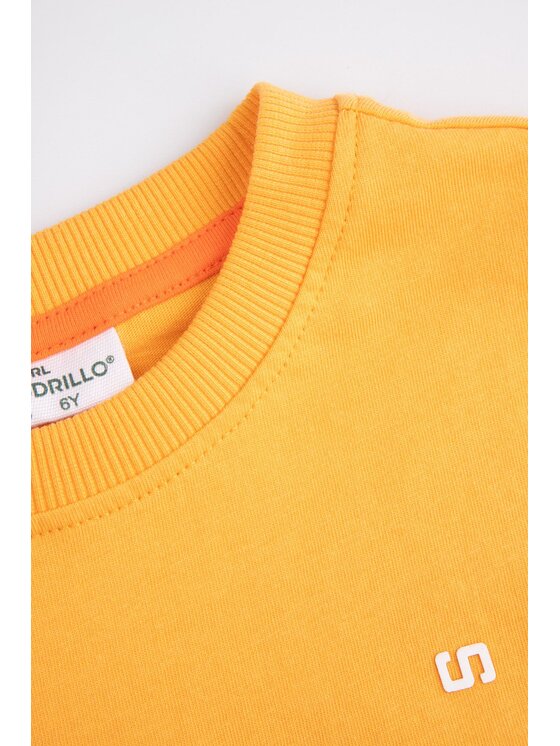 Coccodrillo Coccodrillo T-Shirt WC6143203MBK-006 Pomarańczowy Regular Fit