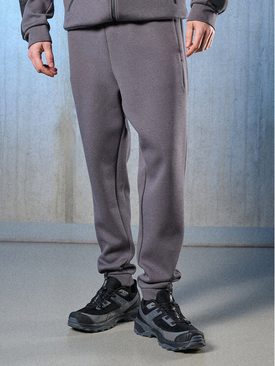 4F 4F Spodnie dresowe IN MOTION Szary Regular Fit