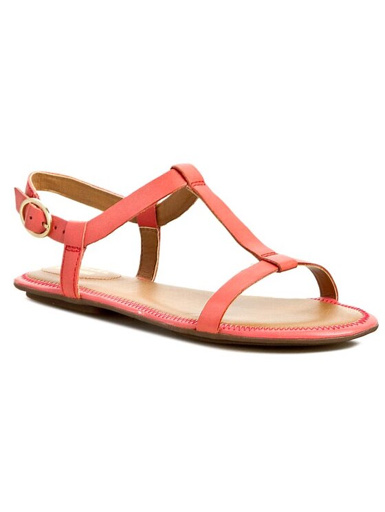 Clarks 2025 risi hop