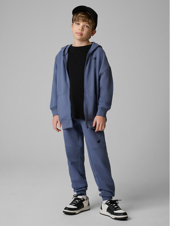 4F 4F Bluza ESSENTIAL 2 Niebieski Loose Fit