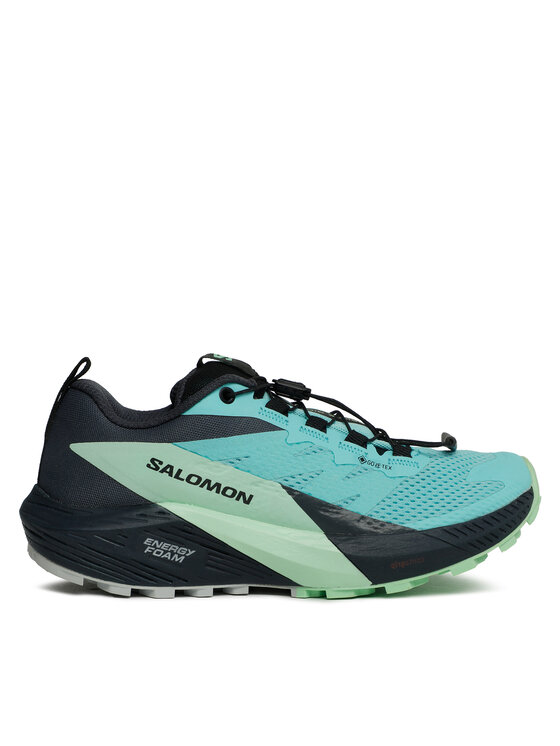Pantofi pentru alergare Salomon Sense Ride 5 Gore-Tex L47216000 Albastru