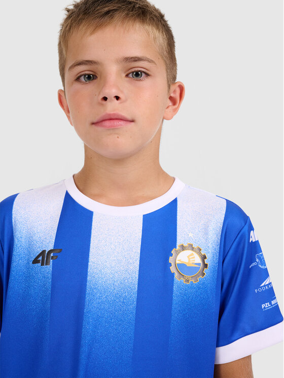 4F 4F Koszulka techniczna TEAMWEAR Kolorowy Regular Fit