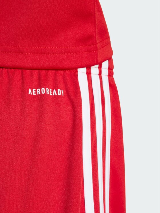 adidas adidas Szorty sportowe Squadra 25 Czerwony Regular Fit