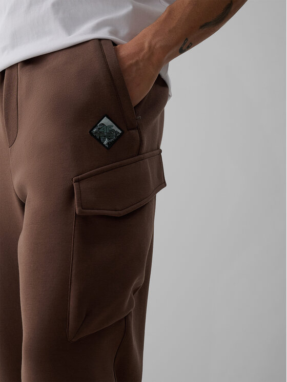 4F 4F Spodnie dresowe OVERLAND Brązowy Regular Fit