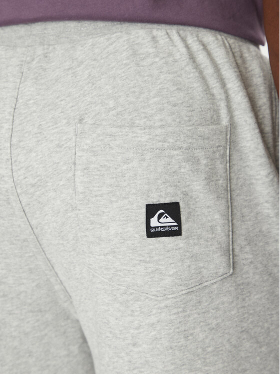 Quiksilver Quiksilver Спортивні штани Salt Water EQYFB03391 Сірий Regular Fit