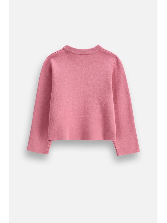 Coccodrillo Coccodrillo Sweter ZC6172104WGK-007 Różowy Regular Fit