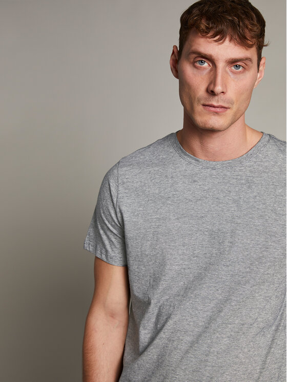 T-shirt Jermane 30203907 Grigio Regular Fit