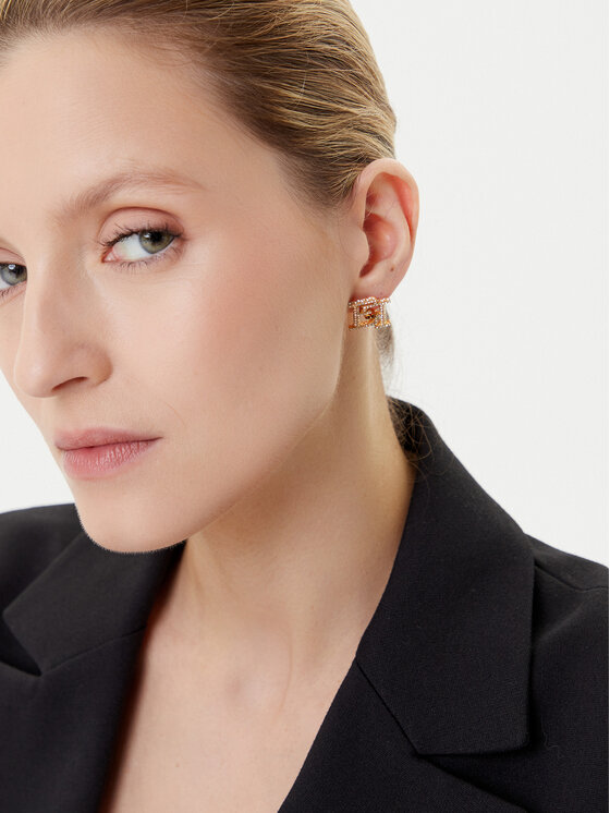 Elisabetta Franchi Elisabetta Franchi Auskarai OR-02A-56E2-240 Auksinė