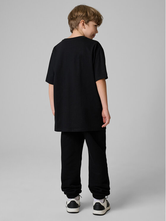 4F 4F Spodnie dresowe STREET SPORT Czarny Regular Fit