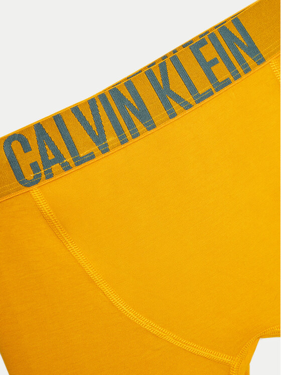 Calvin Klein Underwear Calvin Klein Underwear Σετ μποξεράκια 2 τμχ. B70B700488 Έγχρωμο