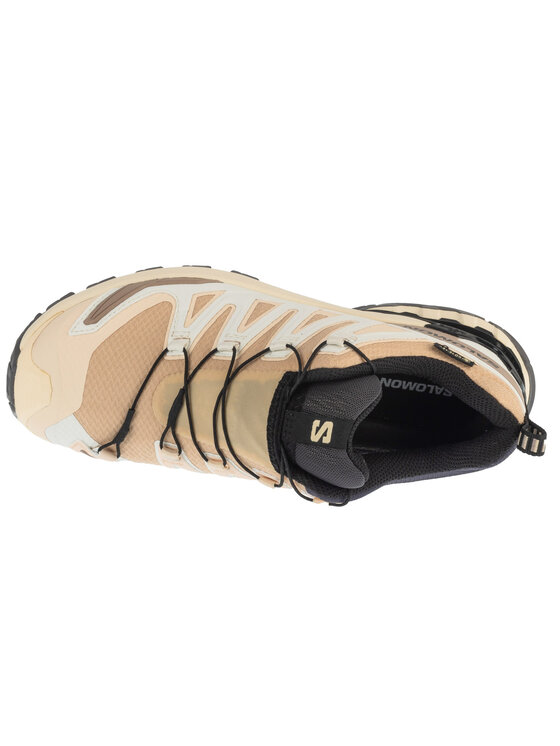 Salomon Salomon Buty do biegania XA Pro 3D v9 GTX W Beżowy
