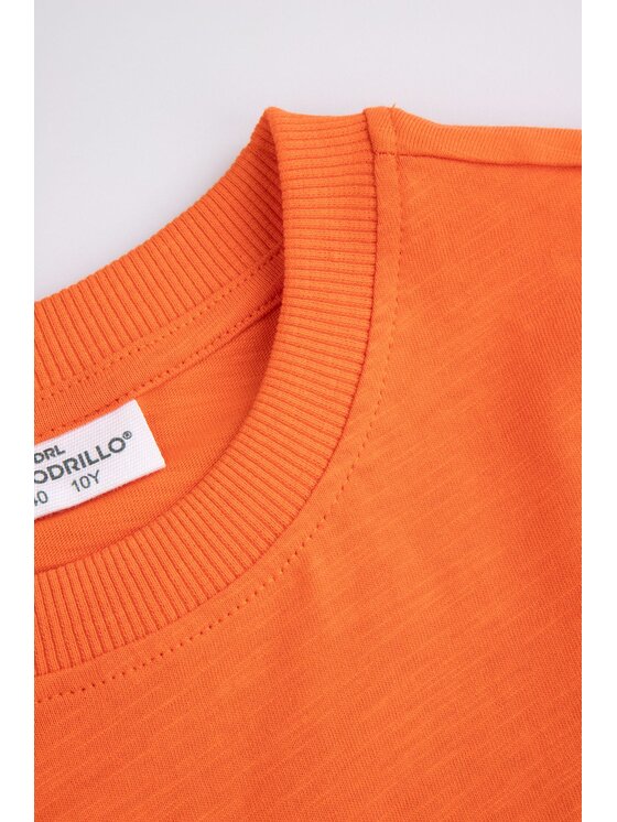 Coccodrillo Coccodrillo T-Shirt WC5143301HBJ-006 Pomarańczowy Regular Fit