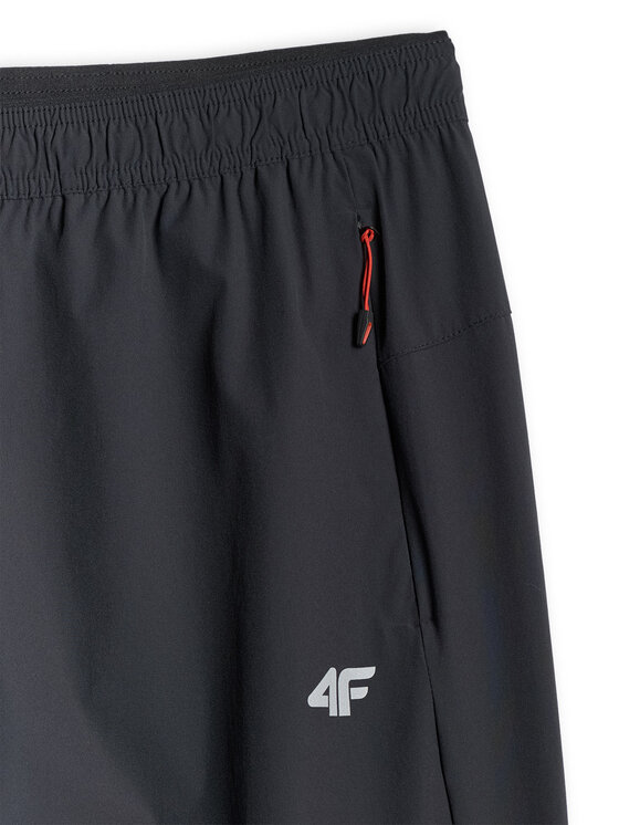 4F 4F Spodnie outdoor TREKKING Czarny Regular Fit