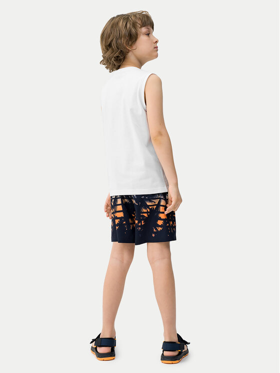 4F 4F Шорти для плавання 4FJWSS24UBDSM067 Кольоровий Regular Fit