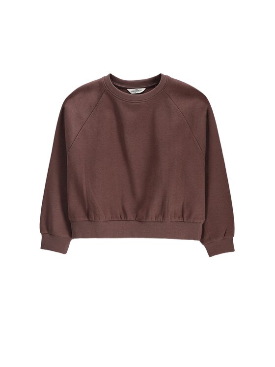 Coccodrillo Coccodrillo Bluza ZC6132604VGA-018 Brązowy Regular Fit