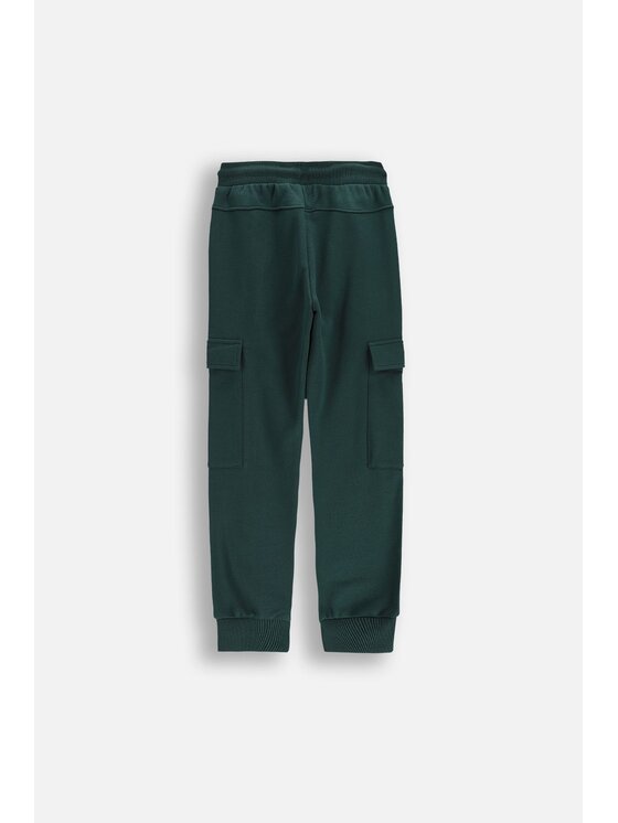 Coccodrillo Coccodrillo Teplákové kalhoty ZC5120101CBJ-011 Zelená Regular Fit