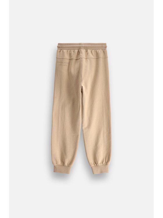 Coccodrillo Coccodrillo Spodnie dresowe ZC6120104VBA-002 Beżowy Regular Fit