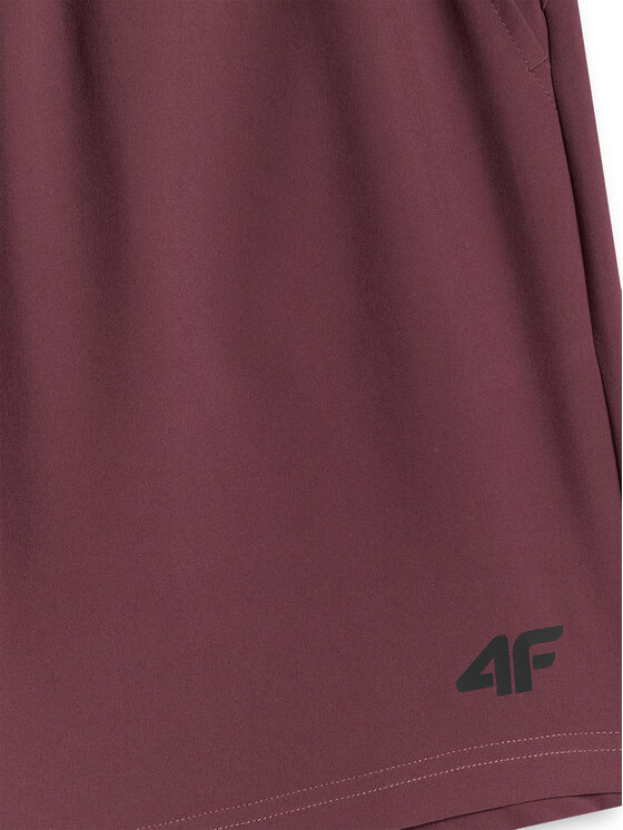 4F 4F Szorty sportowe VICTORY PACK Bordowy Regular Fit