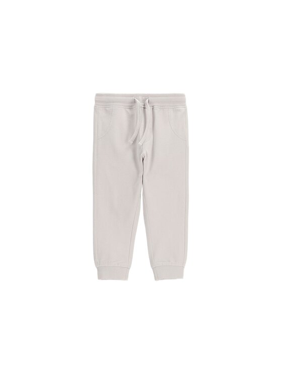 Coccodrillo Coccodrillo Šortky z materiálu WC6121102SUN-019 Šedá Regular Fit