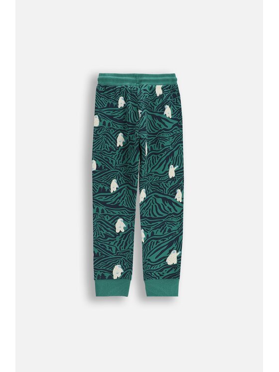 Coccodrillo Coccodrillo Spodnie dresowe ZC5122701YBK-022 Kolorowy Regular Fit