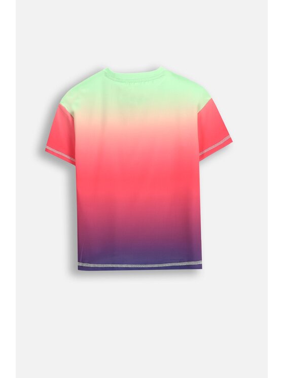 Lemon Explore Lemon Explore T-Shirt WL5143202ACG-022 Kolorowy Regular Fit