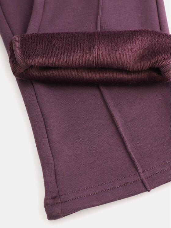 Coccodrillo Coccodrillo Hlače iz tkanine ZC4122602AGK Vijolična Regular Fit