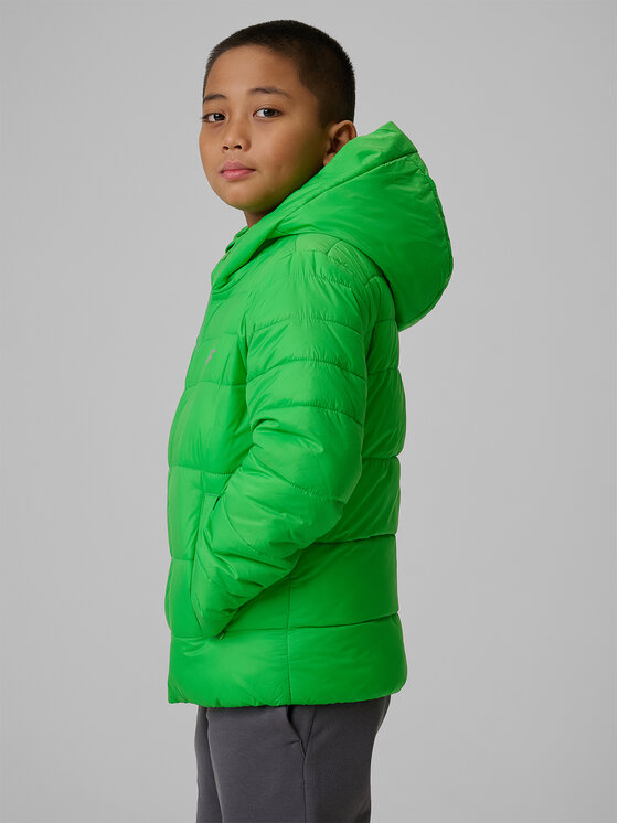 4F 4F Kurtka puchowa OUTERWEAR Zielony Regular Fit