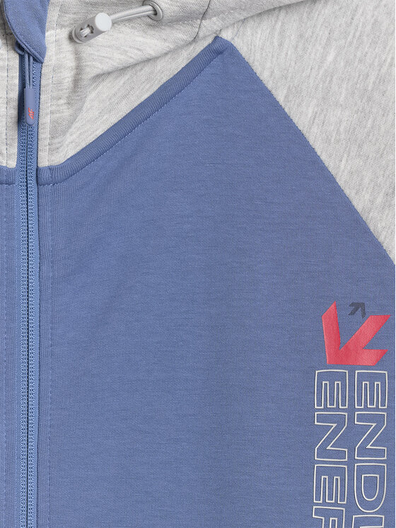 4F 4F Bluza VICTORY FIT Szary jasny Regular Fit