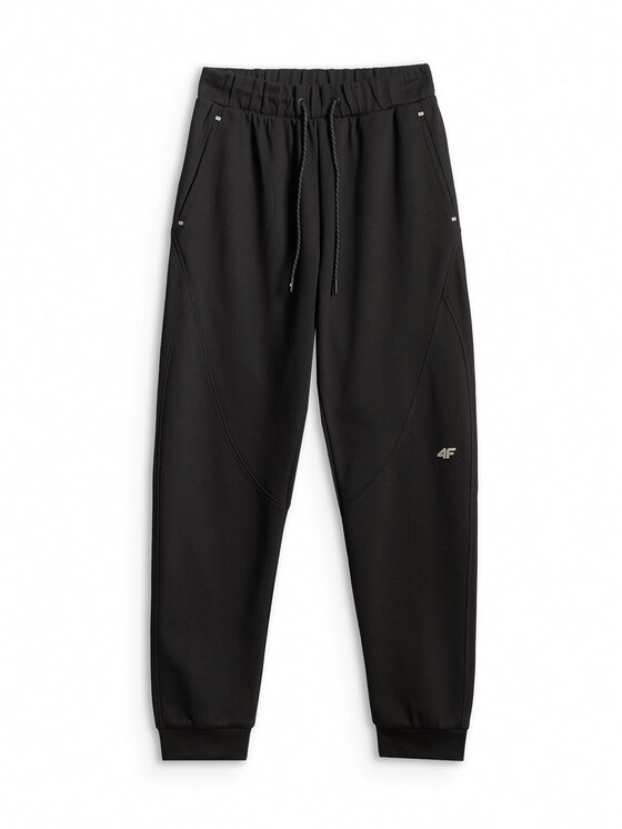 4F 4F Spodnie dresowe TREKKING Czarny Regular Fit