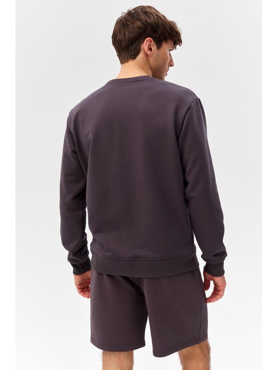 ROUGH RADICAL ROUGH RADICAL Bluza COTTON ACTIVE MEN Szary Regular Fit