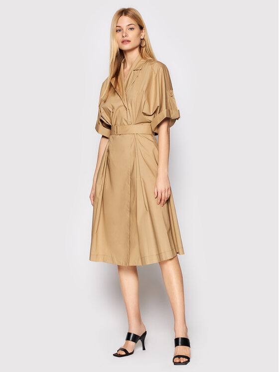 Imperial Srajčna obleka ABVNBGV Rjava Regular Fit