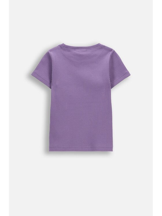 Coccodrillo Coccodrillo T-Shirt WC6143207SGK-016 Fioletowy Regular Fit