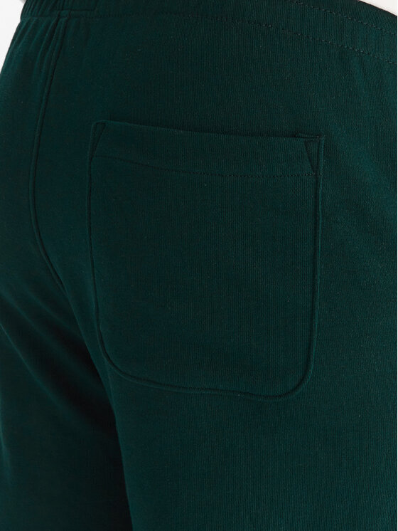 DC Shoes DC Shoes Pantaloni da tuta ADYFB03072 GTP0 Verde Regular Fit