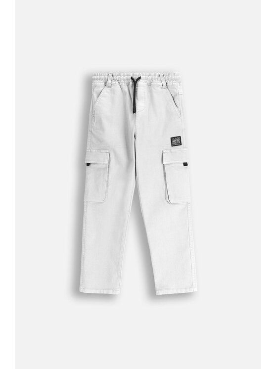 Coccodrillo Coccodrillo Bavlnené nohavice WC5119101CBJ-019 Sivá Regular Fit