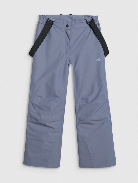4F 4F Spodnie narciarskie BASIC SKI Szary Regular Fit