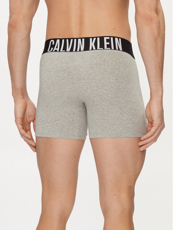 Calvin Klein Underwear Calvin Klein Underwear 3er-Set Boxershorts 000NB3609A Bunt