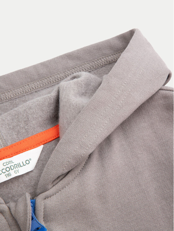 Coccodrillo Coccodrillo Суитшърт ZC4132602FBK Цветен Regular Fit