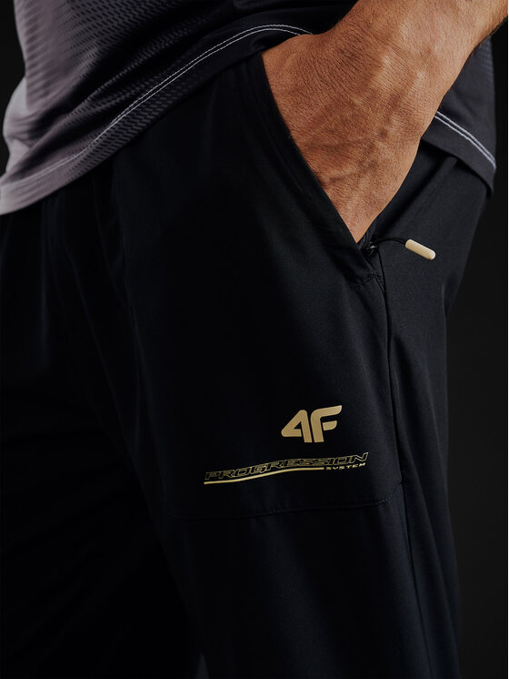 4F 4F Spodnie dresowe GOLDEN WARRIOR Czarny Regular Fit