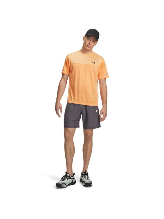 Under Armour Under Armour Szorty sportowe 6005117 Szary Regular Fit