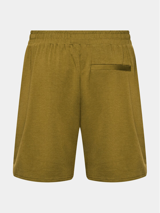 Viking Viking Spordišortsid Bamboo Hazen Man 800/25/8787 Roheline Regular Fit