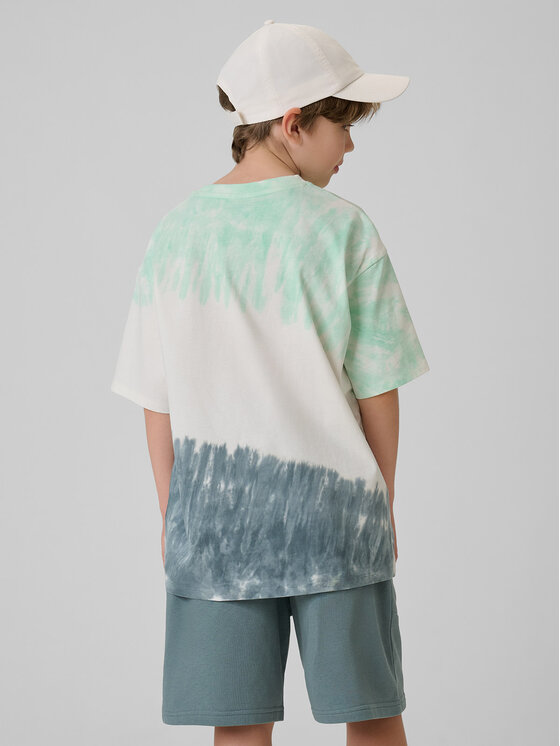 4F 4F T-Shirt SKATE & RIDE Kolorowy Loose Fit
