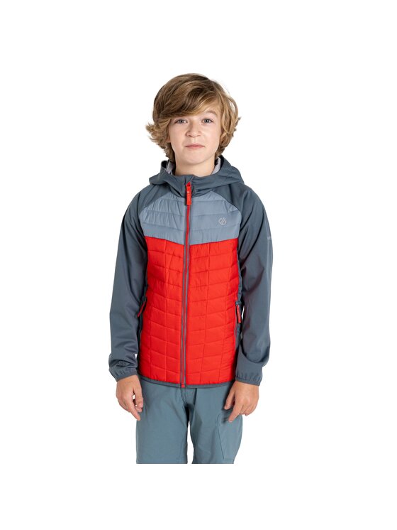 Dare2B Dare2B Kurtka softshell Explore II Szary Fitted Fit
