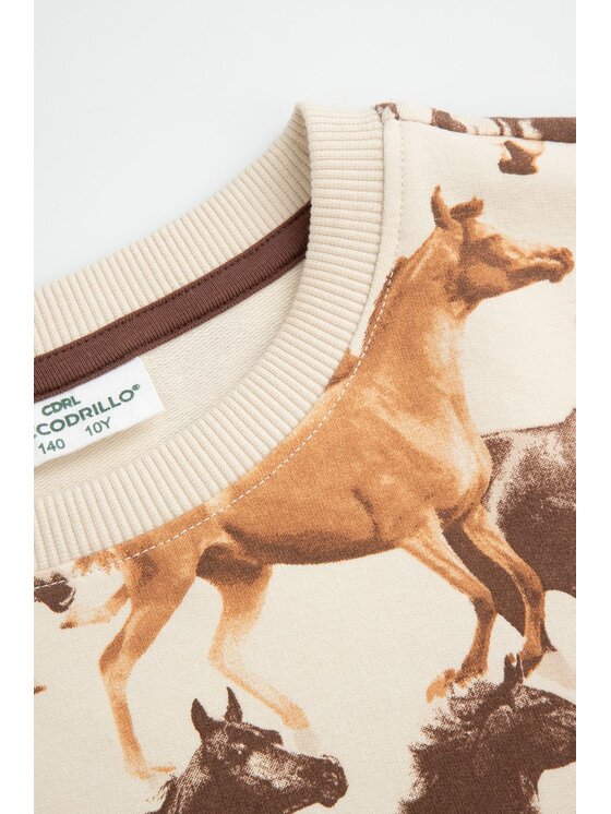 Coccodrillo Coccodrillo Mikina WC5132102NGJ-002 Béžová Regular Fit