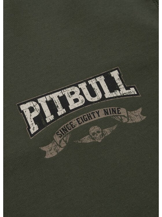 PITBULL PITBULL Bluza Bluza męska z kapturem TROUBLEMAKER L Zielony Regular Fit