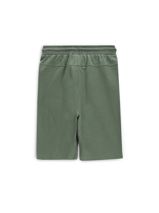 Coccodrillo Coccodrillo Pantaloni scurți sport WC5121501VBC Verde Regular Fit
