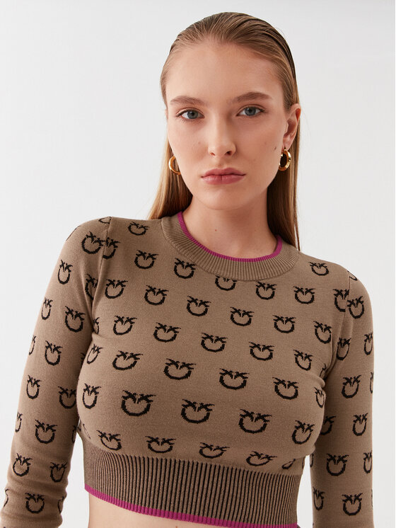 PINKO Pinko Светр Furetto 101561 A112 Коричневий Slim Fit