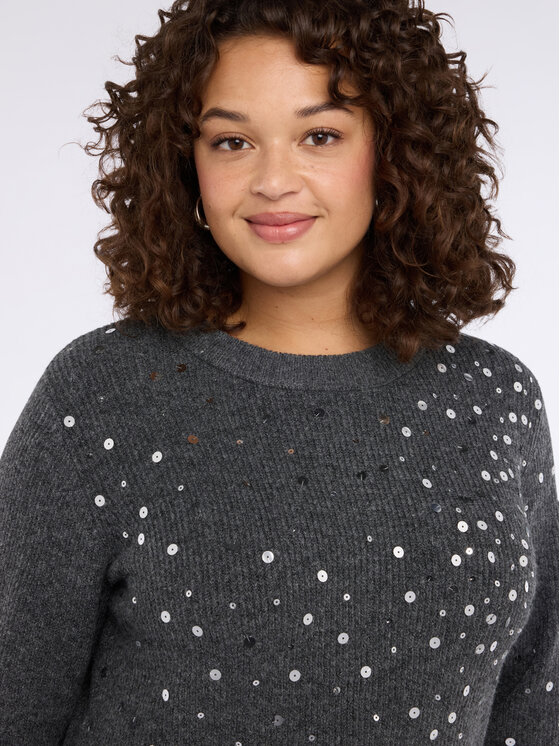 Fiorella Rubino Fiorella Rubino Maglione M091L008364N013 Grigio Regular Fit