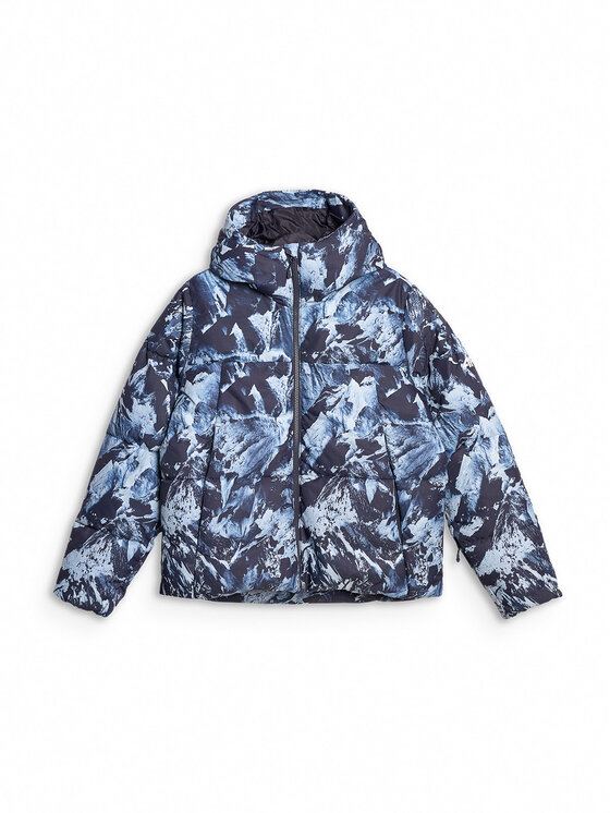 4F 4F Kurtka narciarska SKIWEAR Kolorowy Regular Fit